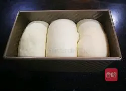 Illustration of how to make mellow milk toast 23