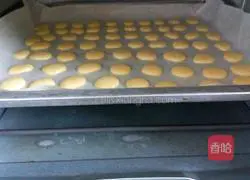 Illustration of how to make egg biscuits 16