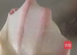 Illustration of hand-made milk square toast 2