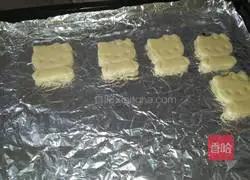 KITTY cat biscuits Illustration of practice 15