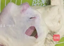 Honey Crispy Bottom Bread Recipe Illustration 4