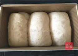 Whole wheat milk toast Illustration of how to do it 14