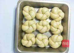 Vegetable oil version of old-fashioned bread recipe 16