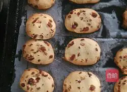 Illustration of how to make cranberry cookies 11