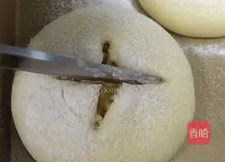 Cheese Lava Bread Recipe Illustration 12