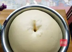 Whole wheat Hokkaido toast recipe 5