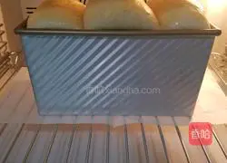 Whole wheat Hokkaido toast recipe 13