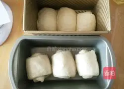 Whole wheat dried fruit toast recipe 14