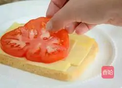 Avocado Tomato Cheese Toast (Reprinted) Recipe Illustration 5