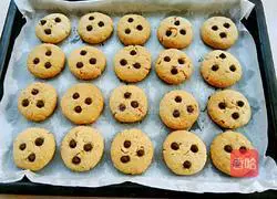 Chocolate Bean Praline Shortcake Recipe Illustration 15