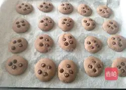 Chocolate bean cocoa biscuits recipe 12