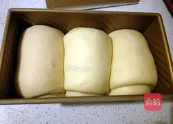 Milk Toast 450g Recipe Illustration 18