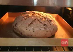 Illustration of how to make oatmeal and honey soft European buns 13