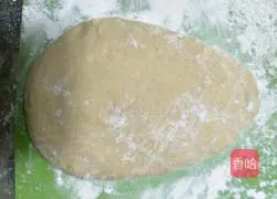 Whole wheat toast recipe 11