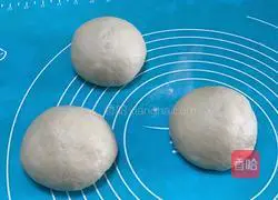 100% whole wheat toast recipe 8