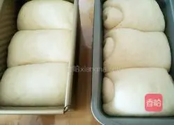 Whole wheat dried fruit toast recipe 15