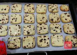 Cranberry Cookies Illustration of how to do it 5