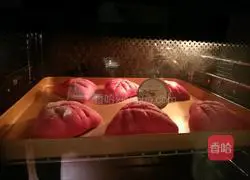 Illustration of making bean paste mochi and dragon fruit bread 16