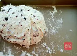 Cranberry Nougat Recipe Illustration 8