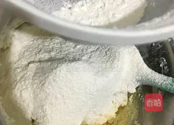 Illustration of how to make animal cookies 3