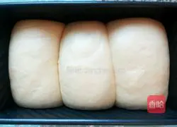 Milk Cranberry Toast Recipe Illustration 12