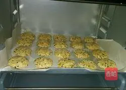 Oatmeal Coconut Cookies Recipe Illustration 9