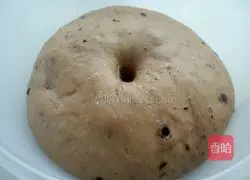 Chocolate yogurt bread recipe 5