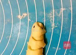 Caterpillar bread Illustration of practice 14