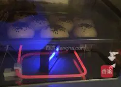 Illustration of how to make traditional mooncakes with fillings 8