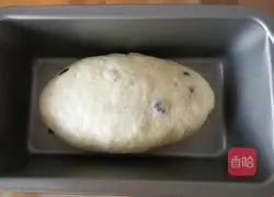 Panettone recipe illustration 15