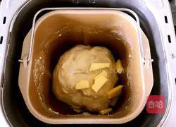 Cheese and meat floss bread recipe 3