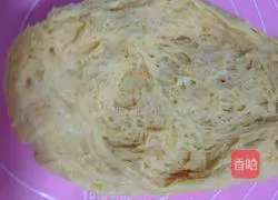 Carrot Pocket Bread Recipe Illustration 5