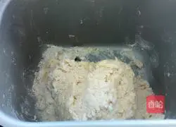 Leopard print Illustration of making toast 5