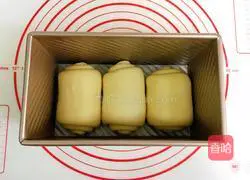 Illustration of how to make meat floss toast 11