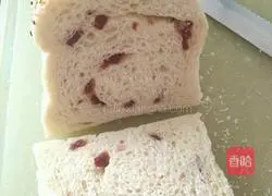 Cranberry Coconut Toast Recipe Illustration 19