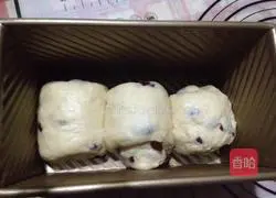 Cranberry toast Practice illustration 5