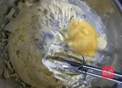 Cocoa Bear Cookies Recipe Illustration 4