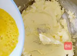 Cranberry Cookies Illustration of how to do it 4