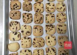 Cranberry biscuits recipe 8