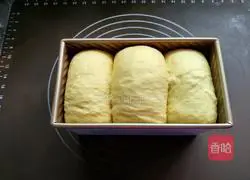 Illustration of how to make pumpkin toast bread 20