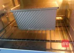 Big Brick Toast - Illustrations of one-time effect 10