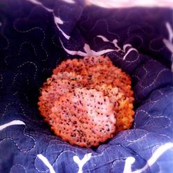 Dragon Fruit Chive Saltine Crackers