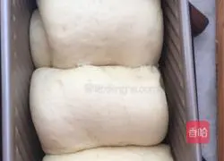 Milk toast recipe 16