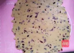 Cranberry Cookies Illustration of how to do it 4