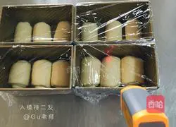 100% Medium Hokkaido Toast (Soft Girl) Recipe 9