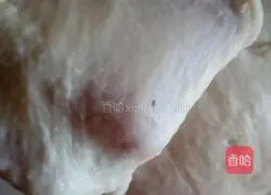 Illustration of how to make coconut buns (medium type) 4