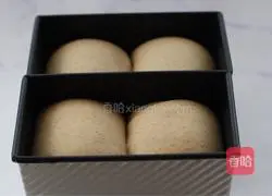 Illustration of how to make whole wheat toast 19