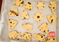 Illustration of how to make cranberry cookies 6