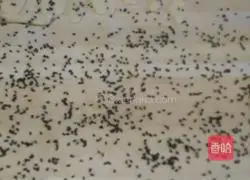 Illustration of making homemade sesame cookies 2