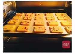 Illustration of how to make cranberry cookies 6